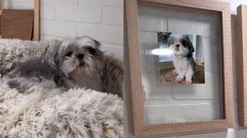 Reprodução/Instagram @mydiycasa