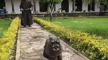 Reprodução / Redes Sociais