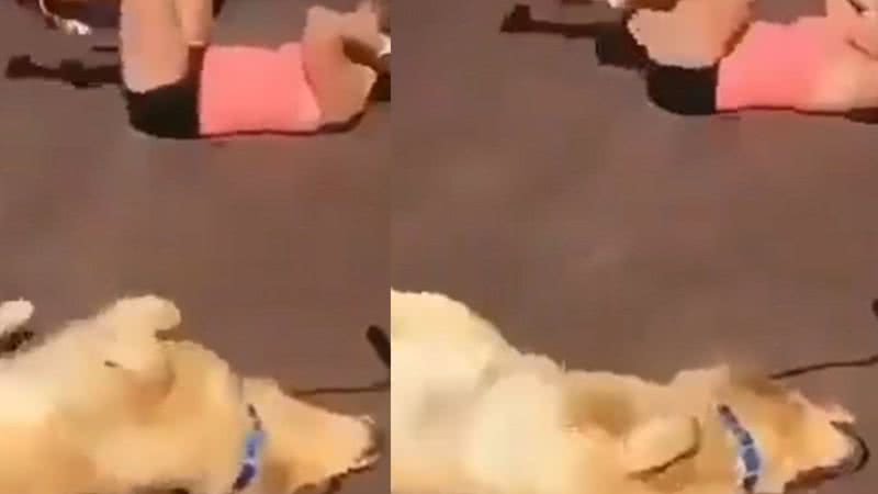Reprodução / Vídeo
