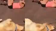 Reprodução / Vídeo