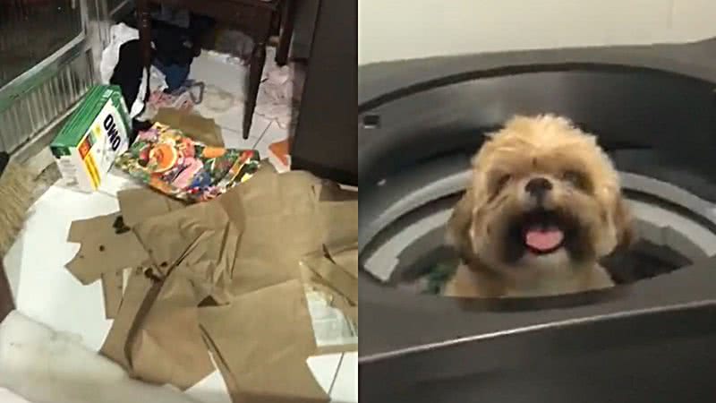 Reprodução/TikTok @thainasilva7676