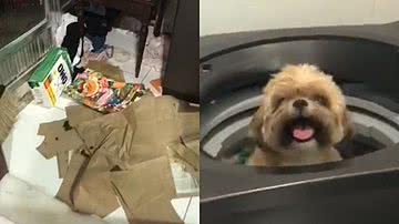 Reprodução/TikTok @thainasilva7676