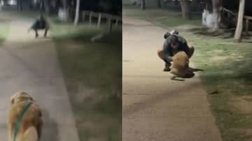 Reprodução/ Vídeo