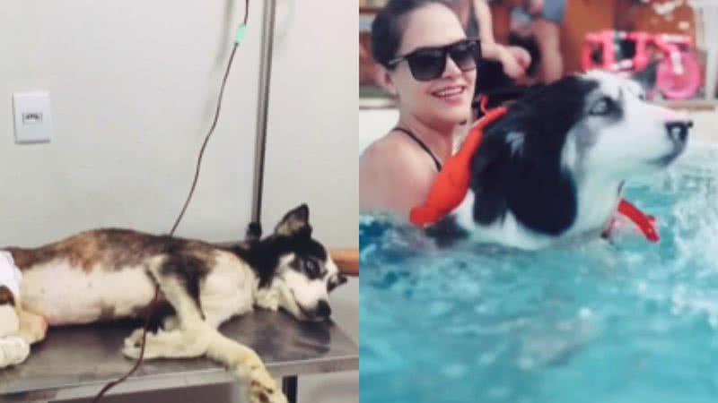 Reprodução / Vídeo