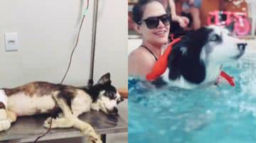 Reprodução / Vídeo