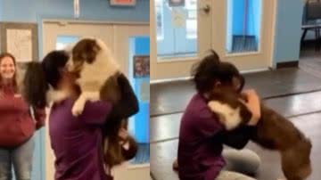 Reprodução / Vídeo