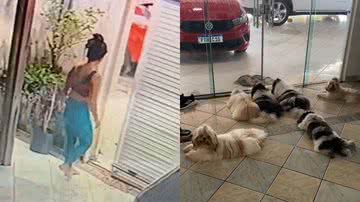 Reprodução/TikTok @anapaaulareal