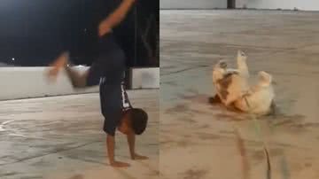 Reprodução/TikTok @julianemarques20