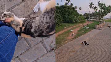 Reprodução/Instagram @tucafernandes