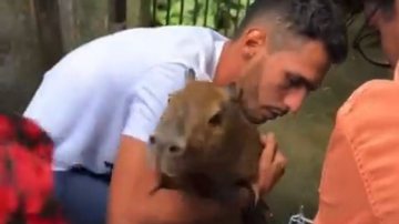 Reprodução/Instagram @joanadarc