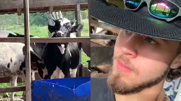 Reprodução/TikTok @_groth_