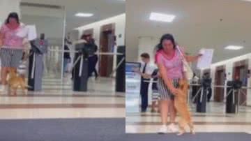 Reprodução/ Vídeo