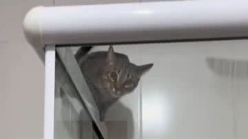 Reprodução// TikTok @a.nafarah