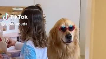 Reprodução// TikTok @vidadebuda