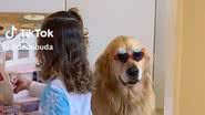 Reprodução// TikTok @vidadebuda