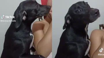 Reprodução// TikTok @bruna.nichelle