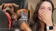 Reprodução// TikTok @afernandaarantes