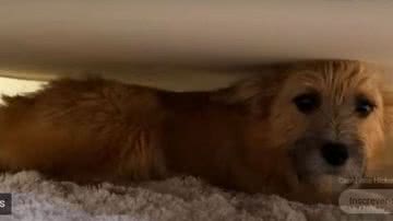 Reprodução//Youtube