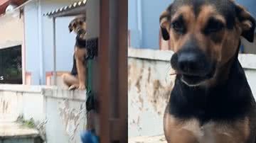 Reprodução// TikTok @camilacmatos