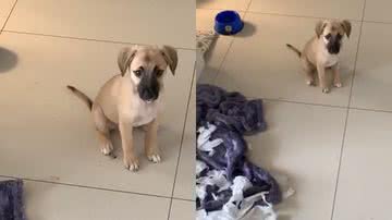 Reprodução// TikTok @nathaliabuenoj