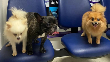 Reprodução/Polícia Civil de Alagoas