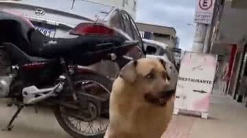 Reprodução// TikTok @bela.spg