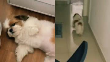 Reprodução// TikTok @vivianegonçales