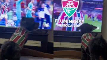 Reprodução// TikTok @pretinhadogtricolor