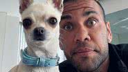 @Danialves/instagram