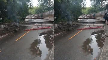 Reprodução / Vídeo