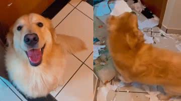 Reprodução / Vídeo