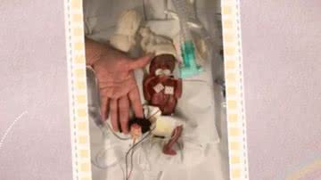 Reprodução/TV Globo