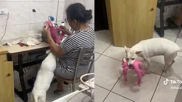 Reprodução / Tiktok