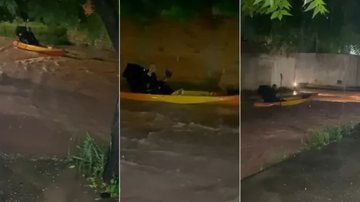 Reprodução/ Vídeo