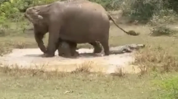 Reprodução// Facebook Dhananjaya Naranbadda