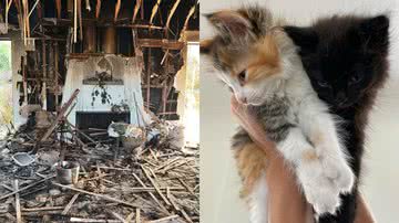 Reprodução/Instagram @caterinascorsone