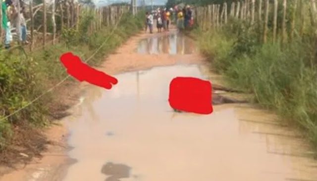 Arquivo Pessoal