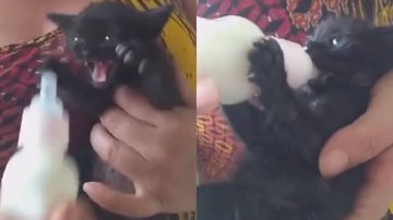 Reprodução/TikTok @brancanagahiro