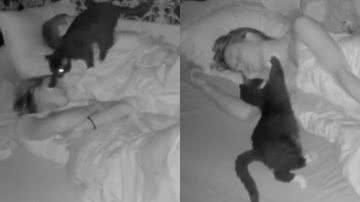 Reprodução/TikTok @sheldon_theblackcat