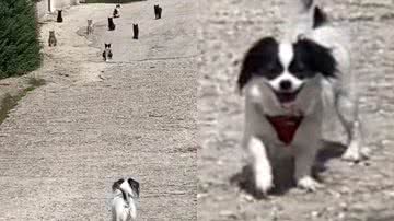 Reprodução/TikTok @itsmarintrim22