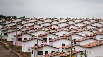 Ubirajara Machado/MDSg