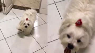 Reprodução / Instagram