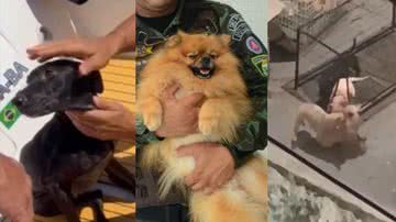 Reprodução/ Vídeo/ Joilson César/Bnews