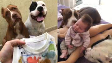 Reprodução / Twitter