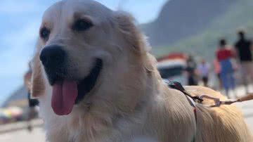 Reprodução / Instagram