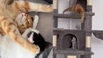 Reprodução / Instagram