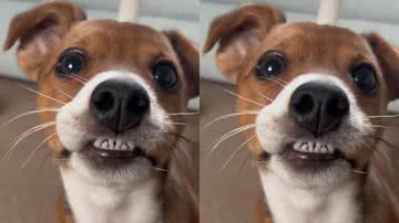 Reprodução/ Tik Tok