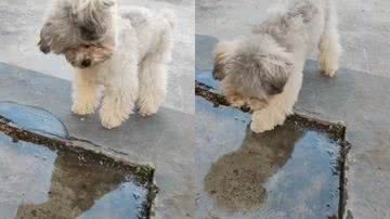 Reprodução / Instagram