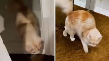 Reprodução / Instagram