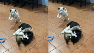 Reprodução / Instagram